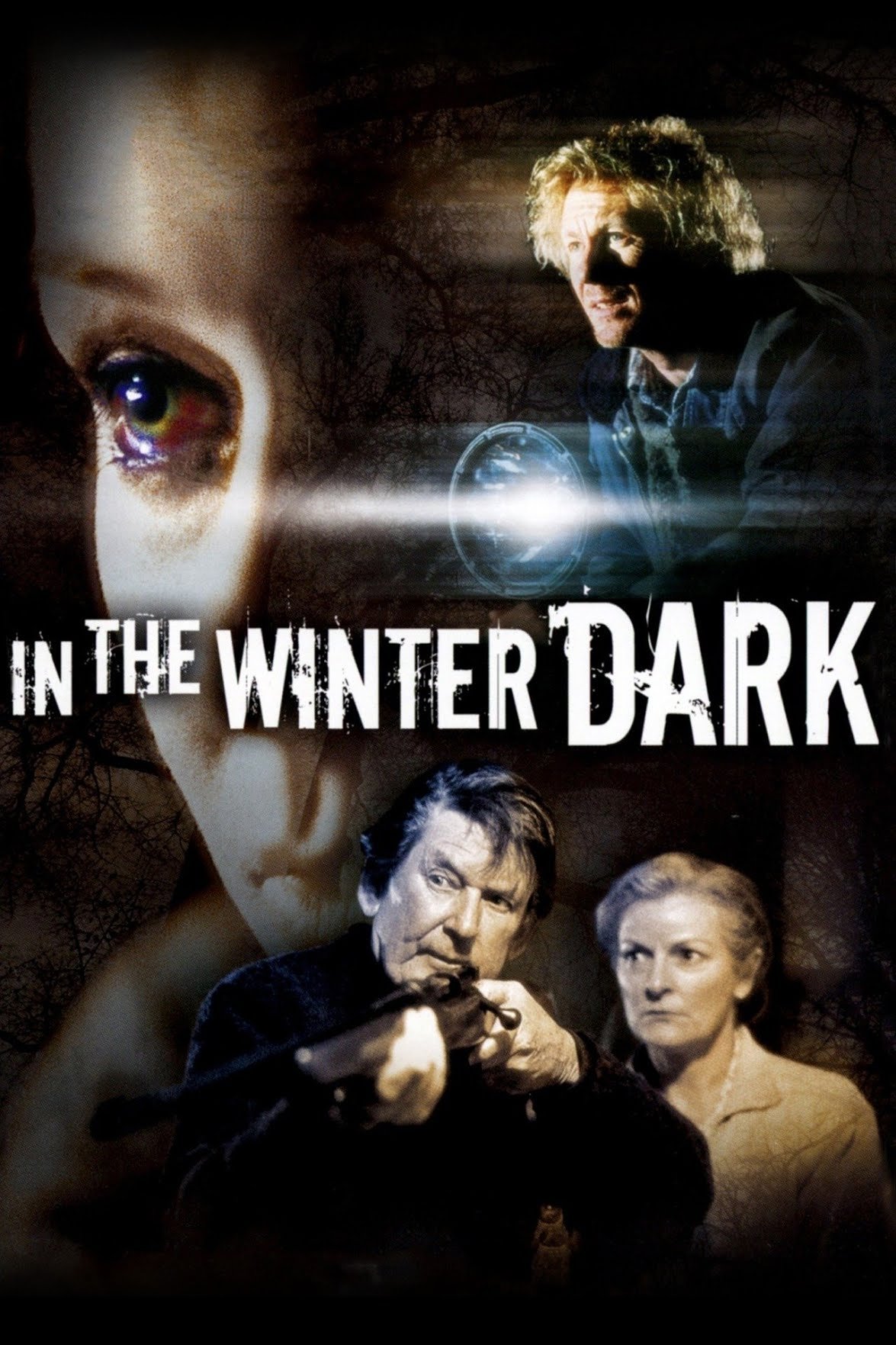 Постер In the Winter Dark